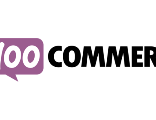 Denver WordPress Ecommerce